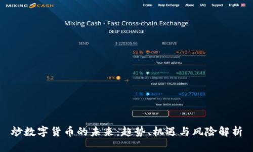 炒数字货币的未来：趋势、机遇与风险解析