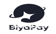 TP钱包矿工费可以用USDT支付吗？详解矿工费的支