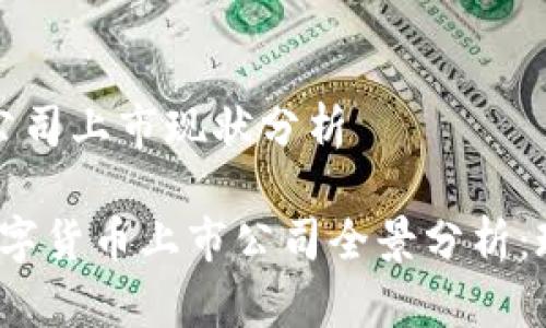 数字货币公司上市现状分析

2023年数字货币上市公司全景分析：现状与未来