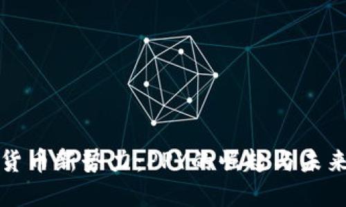 数字货币新势力：PPY的崛起与未来展望