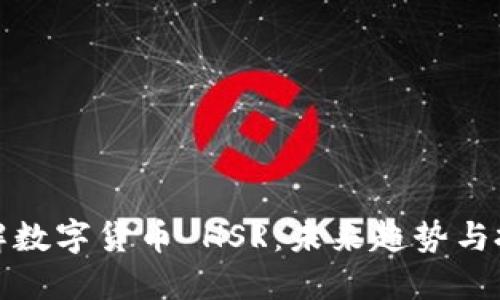 深入了解数字货币 HSR：未来趋势与投资机遇