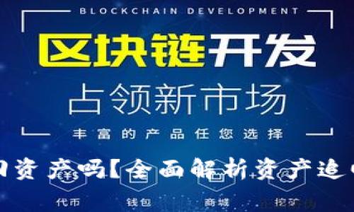 TP钱包报警能追回资产吗？全面解析资产追回的可能性与流程