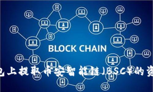 如何在TP钱包上提取币安智能链（BSC）的资产：完整指南