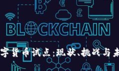 中国数字货币试点：现状、挑战与未来展望