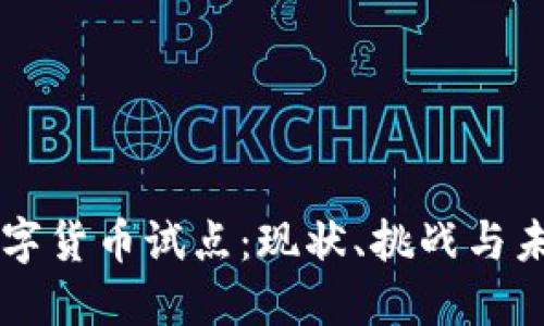 中国数字货币试点：现状、挑战与未来展望