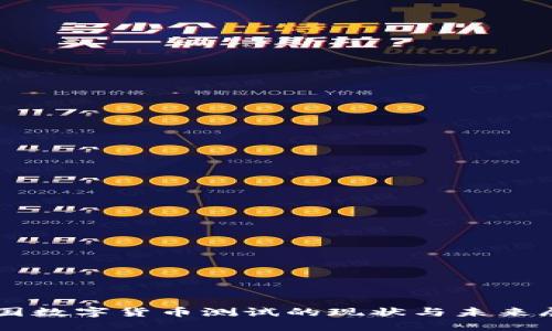 韩国数字货币测试的现状与未来展望