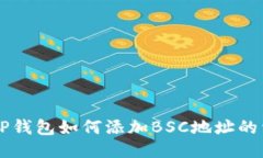 电脑版TP钱包如何添加BSC地址的详细指南