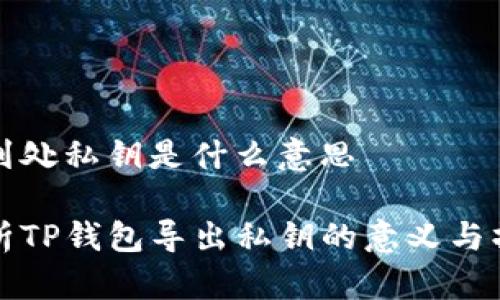 tp钱包到处私钥是什么意思

深度解析TP钱包导出私钥的意义与操作指南