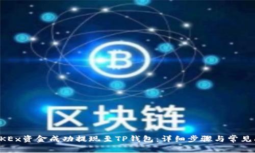 如何将OKEx资金成功提现至TP钱包：详细步骤与常见问题解析