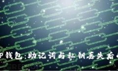 如何恢复TP钱包：助记词与私钥丢失后的应对策略