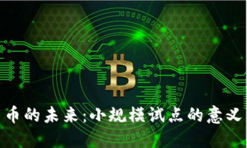 数字货币的未来：小规模试点的意义与影响