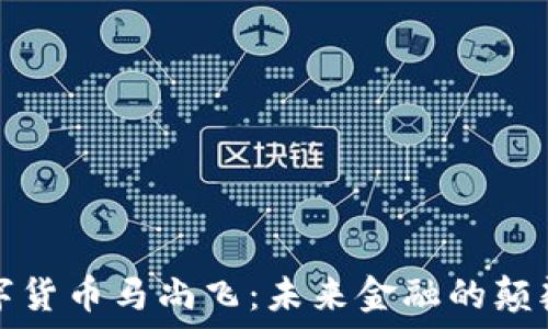   
中国数字货币马尚飞：未来金融的颠覆性创新