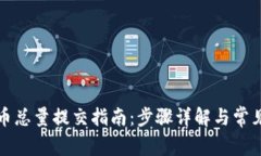 TP钱包代币总量提交指南：步骤详解与常见问题解