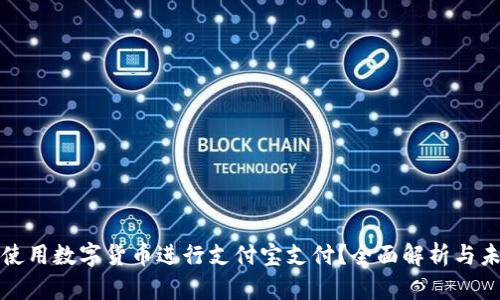 : 如何使用数字货币进行支付宝支付？全面解析与未来展望