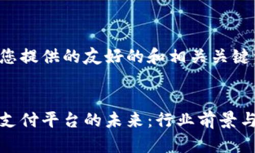以下是为您提供的友好的和相关关键词：

- 
数字货币支付平台的未来：行业前景与挑战分析