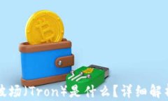 TP钱包里的波场（Tron）是什么？详细解析与应用