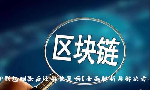 TP钱包删除后还能恢复吗？全面解析与解决方案
