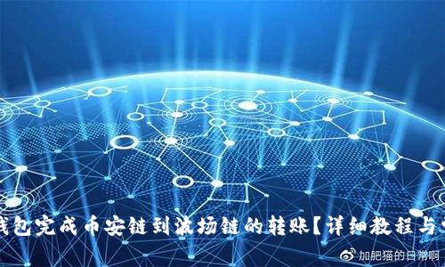 如何通过TP钱包完成币安链到波场链的转账？详细教程与常见问题解析