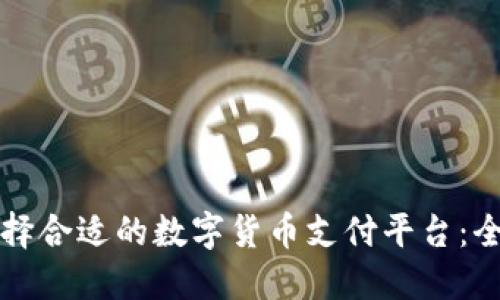如何选择合适的数字货币支付平台：全面指南