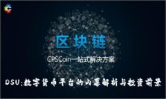DSU：数字货币平台的内幕解析与投资前景