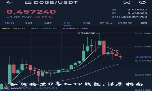 如何将黑U导入TP钱包：详尽指南