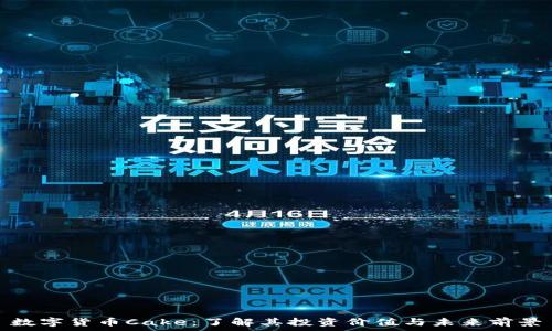   
数字货币Cake：了解其投资价值与未来前景