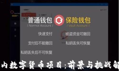 
国内数字货币项目：前景与挑战解析