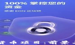 国内数字货币项目：前景与挑战解析