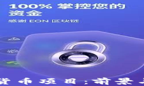 
国内数字货币项目：前景与挑战解析