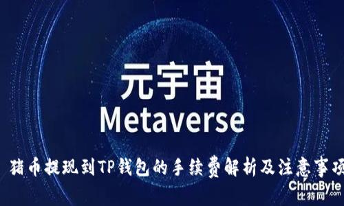  猪币提现到TP钱包的手续费解析及注意事项