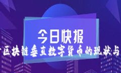 深入探讨区块链垂直数字货币的现状与未来发展