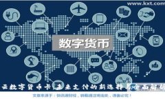 云数字货币卡：未来支付的新选择与全面解析