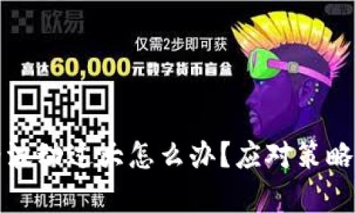 TP钱包价格波动过大怎么办？应对策略与市场分析