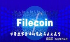 中资数字货币的崛起与未来展望