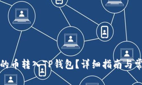 如何将没有的币转入TP钱包？详细指南与常见问题解答