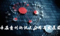 数字货币在贵州的试点应用与发展前景分析