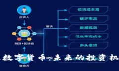 深入了解花火数字货币：未来的投资机会与潜力