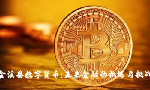 金溪县数字货币：未来金融的机遇与挑战