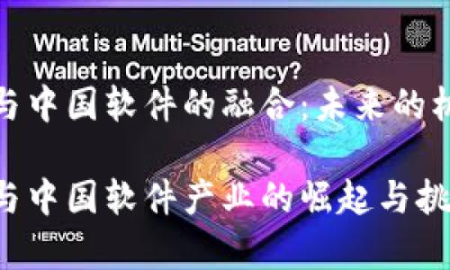 数字货币与中国软件的融合：未来的机遇与挑战

数字货币与中国软件产业的崛起与挑战分析