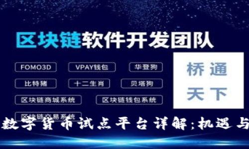 中国数字货币试点平台详解：机遇与挑战
