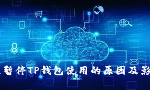 币安链暂停TP钱包使用的原因及影响分析