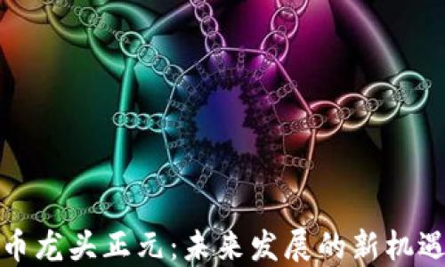 
数字货币龙头正元：未来发展的新机遇与挑战