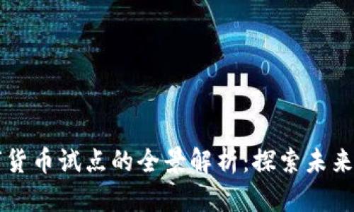 杭州市数字货币试点的全景解析：探索未来金融新模式