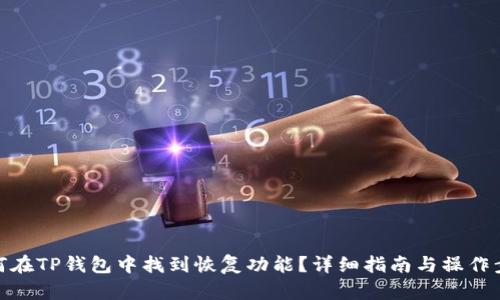 如何在TP钱包中找到恢复功能？详细指南与操作步骤