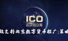 如何有效支持北京数字货币推广：策略与展望