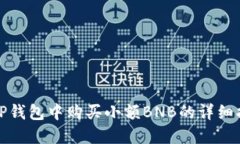 在TP钱包中购买小额BNB的详细指南
