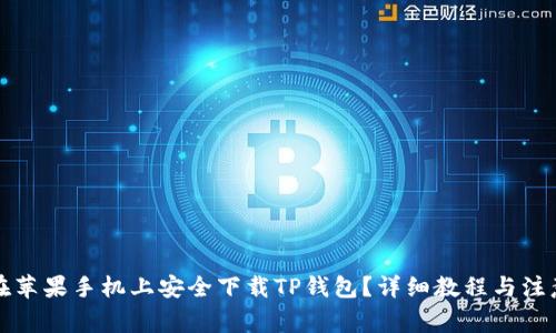 如何在苹果手机上安全下载TP钱包？详细教程与注意事项