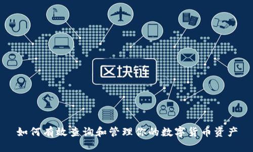 如何有效查询和管理你的数字货币资产