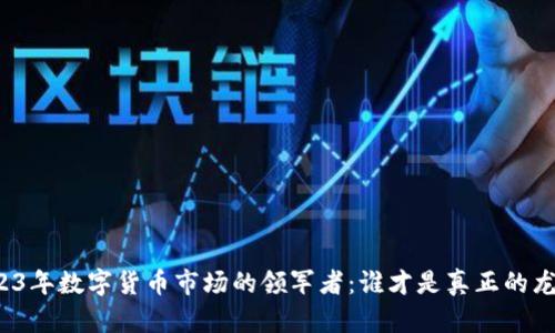 2023年数字货币市场的领军者：谁才是真正的龙头？