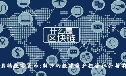 : 森华易腾数字货币：新兴的数字资产投资机会与前景分析